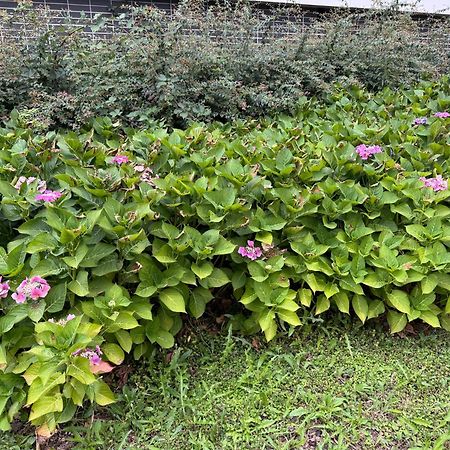 Jardins De La Noue Apartment Villeneuve-la-Garenne Ngoại thất bức ảnh